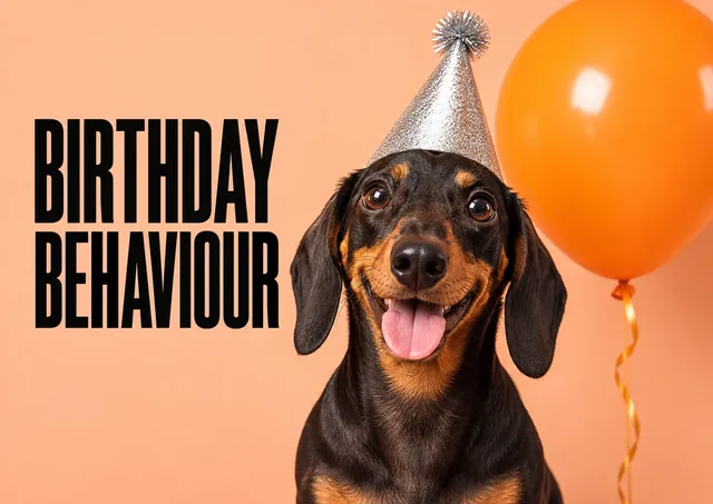 A funny card for their birthday: Birthday Behaviour.