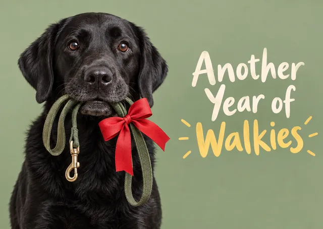 A warm, playful birthday card for anyone who loves their dog or wants a happy hello from one. A photographic black labrador holds a lead tied with a birthday bow, ready for another year of walks.
