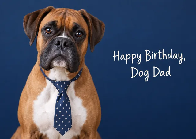 A funny and warm birthday card for the dog dad in your life, with a proud boxer in a little tie wishing him a happy birthday. Send it from your own dog.
