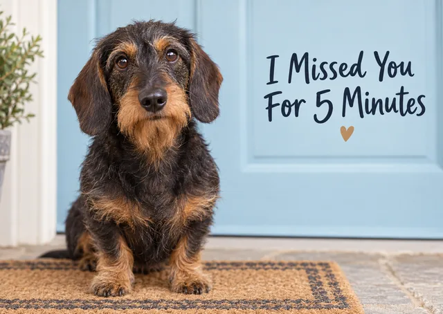 A funny dog card for anyone you have been missing, from a friend, partner or family member. A dachshund waits by the front door, counting the minutes until you come home.