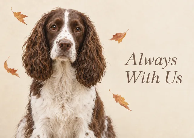 A gentle loss of pet card for someone grieving a beloved dog or cat, with a soft spaniel among falling autumn leaves and a calm message that they are always with us.
